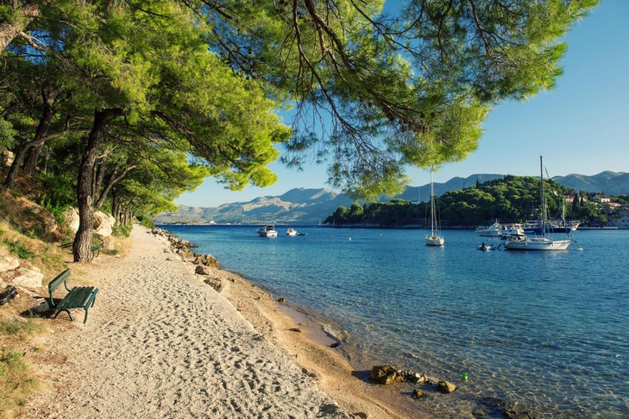 In With Sea View, Balcony, Air Conditioning, Wifi Cavtat